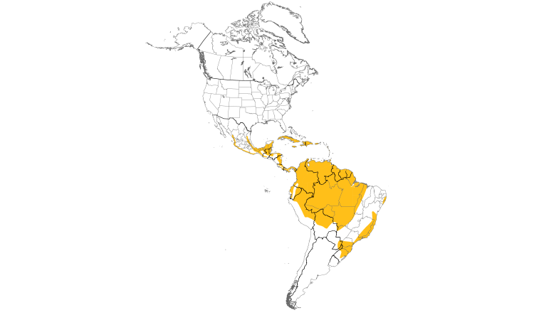 Range Map (Americas): Ruddy Quail-Dove