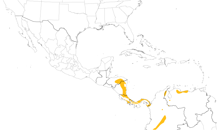 Range Map (Central): Violet-headed Hummingbird