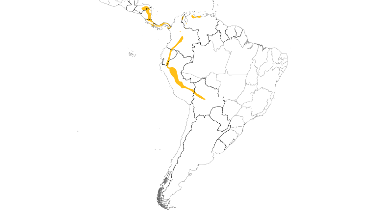 Range Map (South): Violet-headed Hummingbird