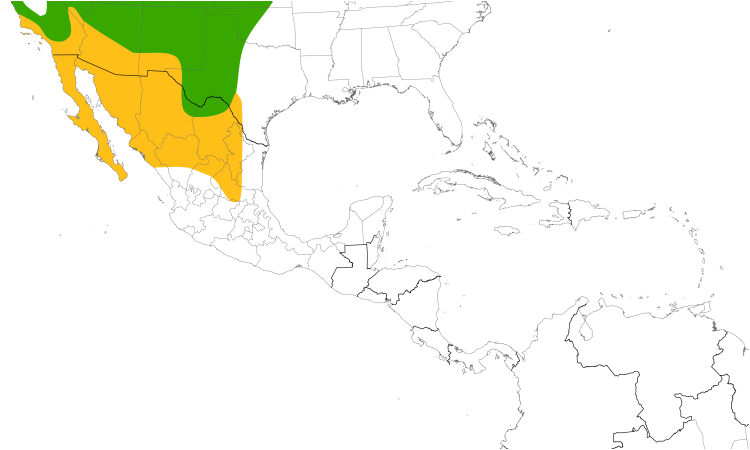 Range Map (Central): Common Poorwill
