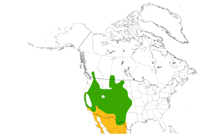 Range Map (North): Common Poorwill
