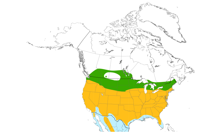 Range Map (North): Cooper's Hawk