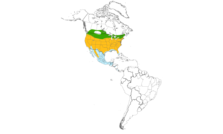 Range Map (Americas): Cooper's Hawk