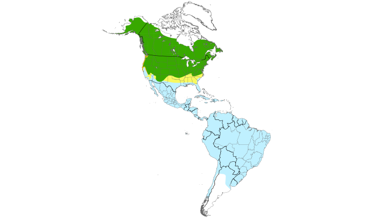 Range Map (Americas): Spotted Sandpiper