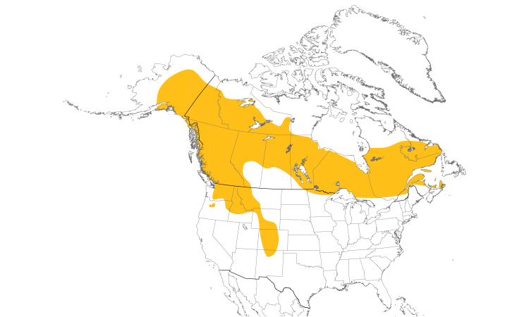 Range Map (North): Boreal Owl