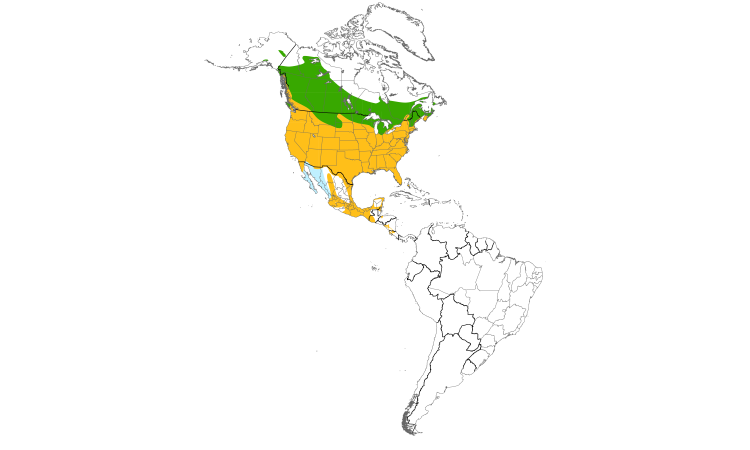 Range Map (Americas): Red-winged Blackbird