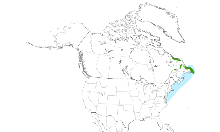 Range Map (North): Razorbill