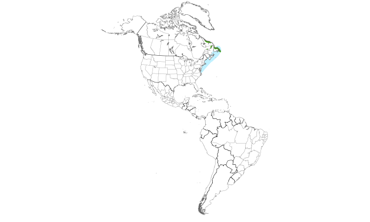 Range Map (Americas): Razorbill