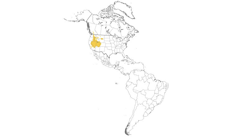 Range Map (Americas): Chukar