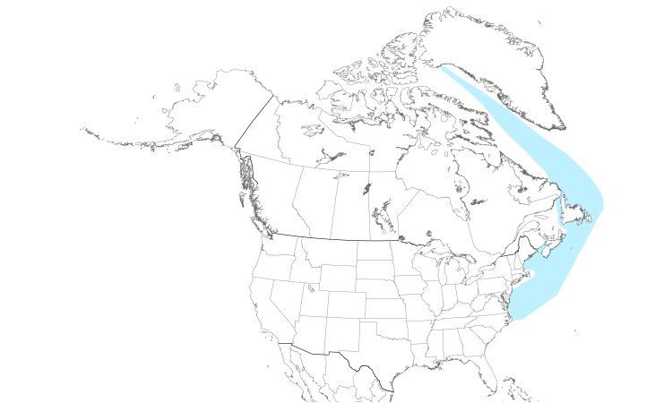 Range Map (North): Dovekie