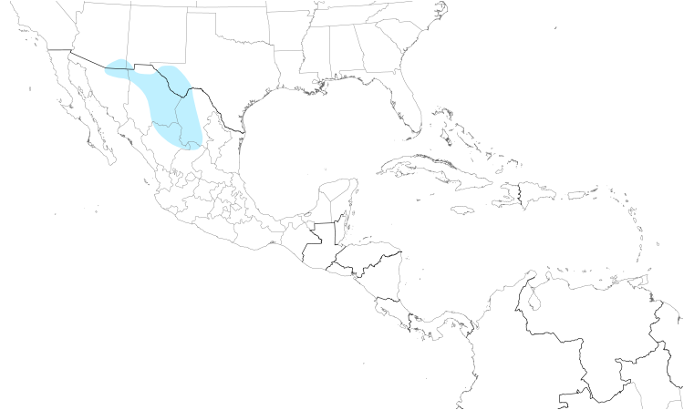 Range Map (Central): Baird's Sparrow