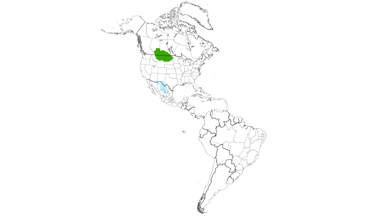 Range Map (Americas): Baird's Sparrow