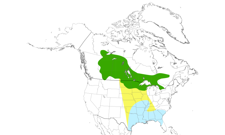 Range Map (North): Le Conte's Sparrow
