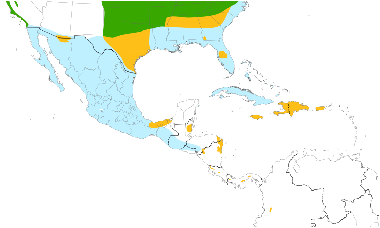 Range Map (Central): Grasshopper Sparrow
