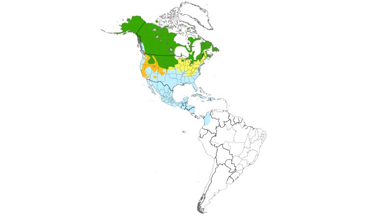 Range Map (Americas): Northern Pintail