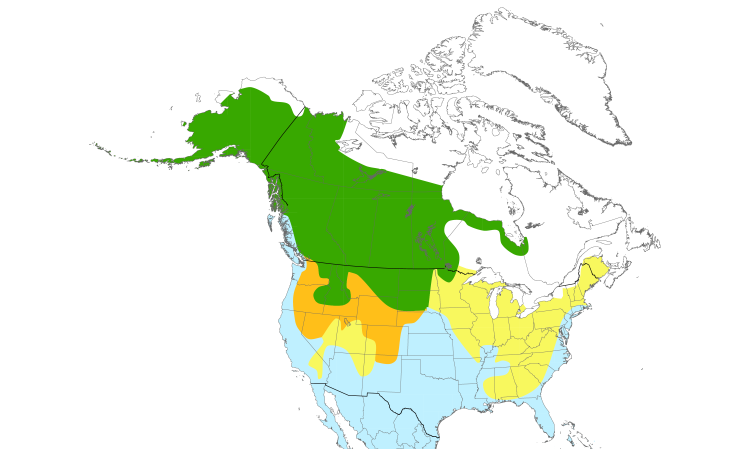 Range Map (North): American Wigeon