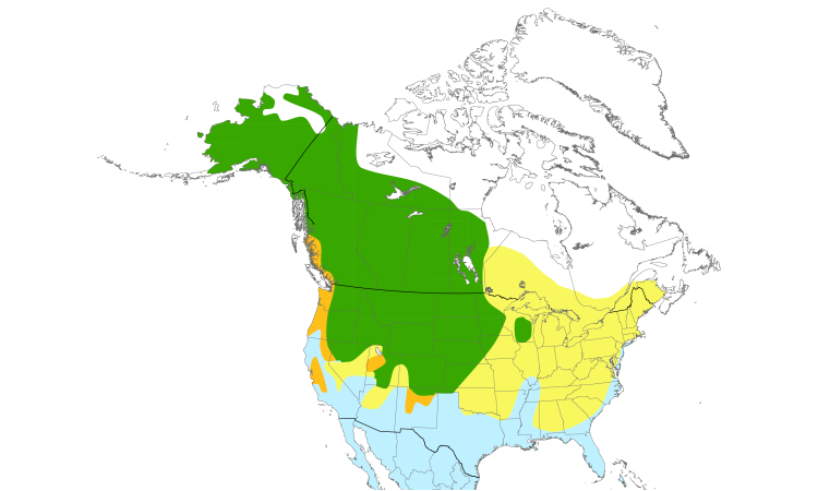 Range Map (North): Northern Shoveler