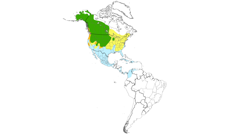 Range Map (Americas): Northern Shoveler
