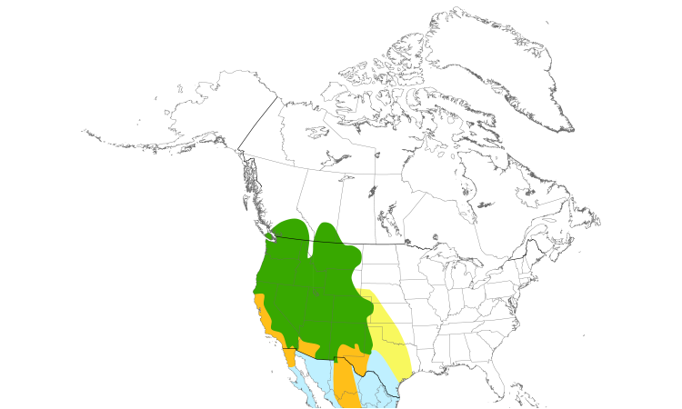 Range Map (North): Cinnamon Teal