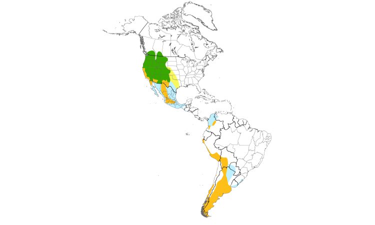Range Map (Americas): Cinnamon Teal