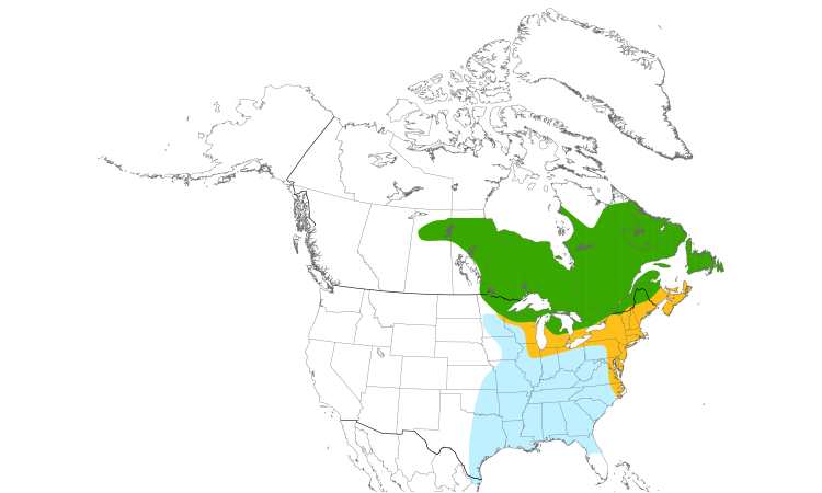 Range Map (North): American Black Duck