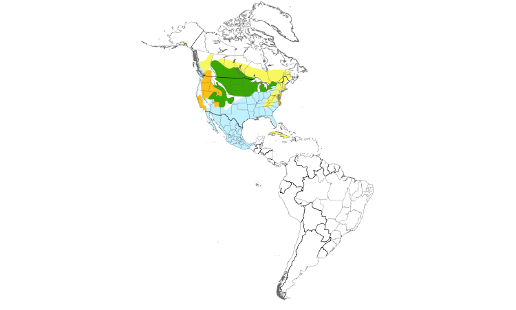 Range Map (Americas): Gadwall
