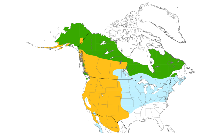 Range Map (North): Golden Eagle