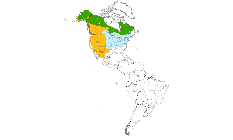 Range Map (Americas): Golden Eagle