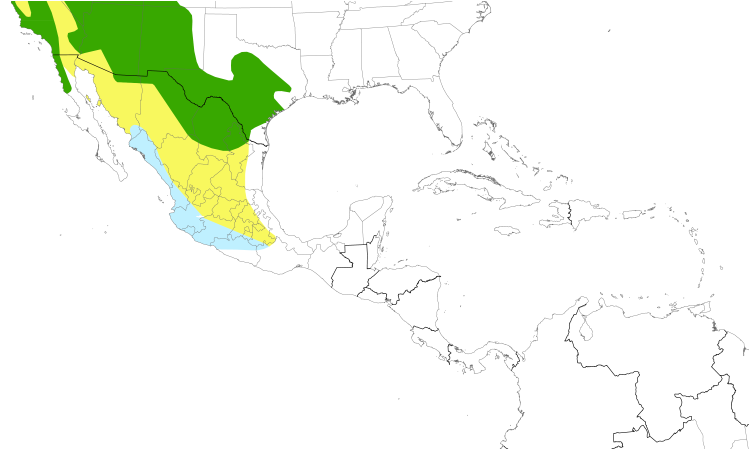 Range Map (Central): Black-chinned Hummingbird