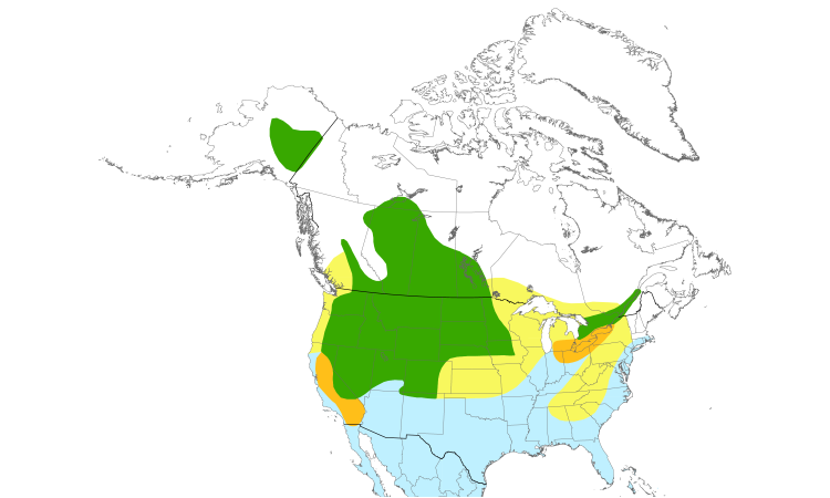 Range Map (North): Redhead