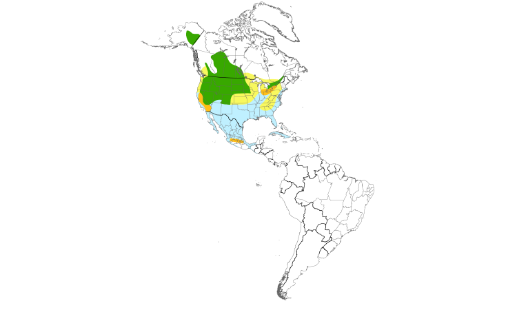Range Map (Americas): Redhead
