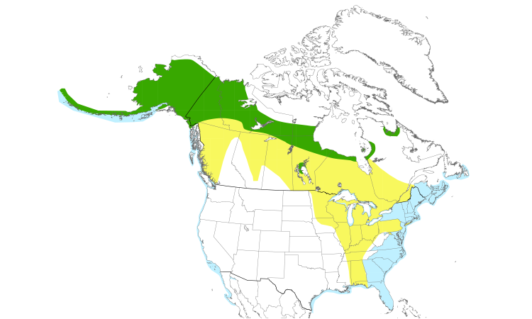 Range Map (North): Greater Scaup