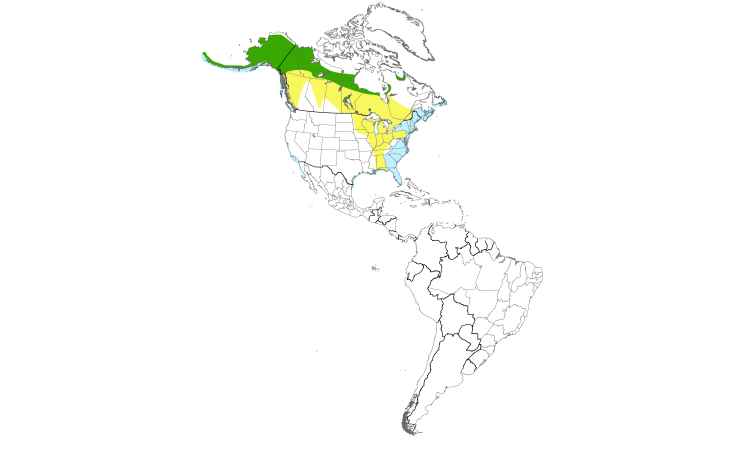 Range Map (Americas): Greater Scaup