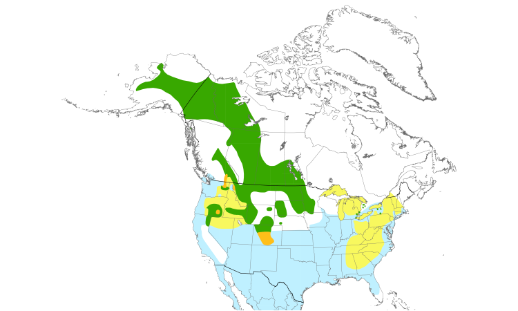 Range Map (North): Canvasback