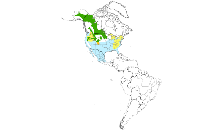 Range Map (Americas): Canvasback