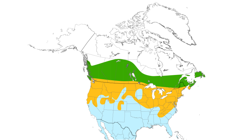 Range Map (North): Cedar Waxwing