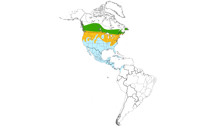 Range Map (Americas): Cedar Waxwing