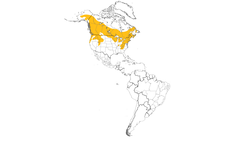 Range Map (Americas): Ruffed Grouse