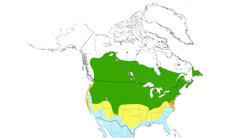 Range Map (North): American Bittern
