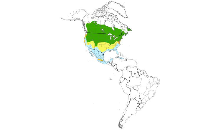 Range Map (Americas): American Bittern