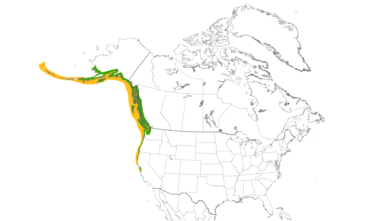 Range Map (North): Marbled Murrelet