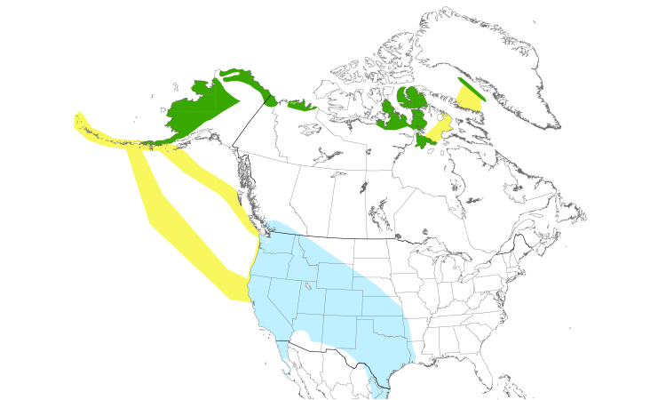 Range Map (North): Cackling Goose