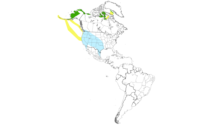 Range Map (Americas): Cackling Goose