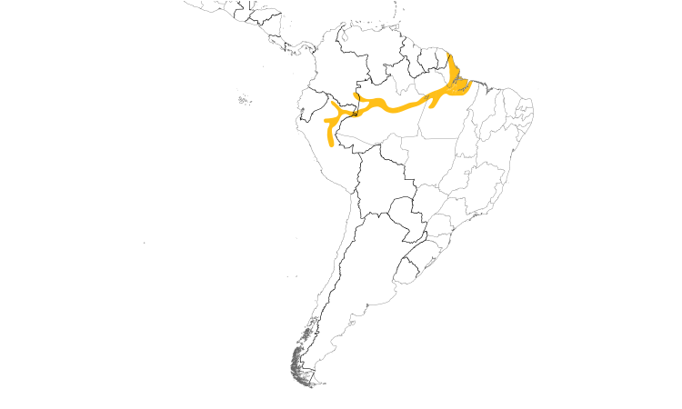 Range Map (South): White-winged Parakeet