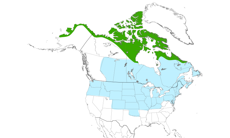 Range Map (North): Snowy Owl