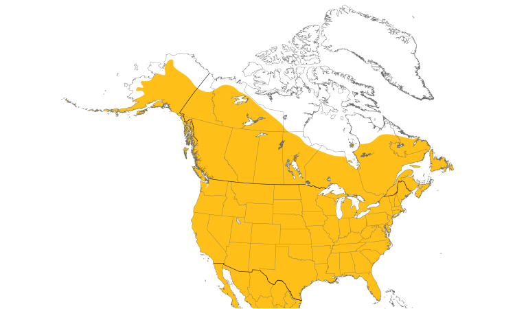 Range Map (North): Great Horned Owl