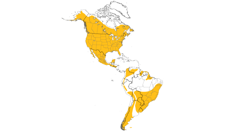 Range Map (Americas): Great Horned Owl