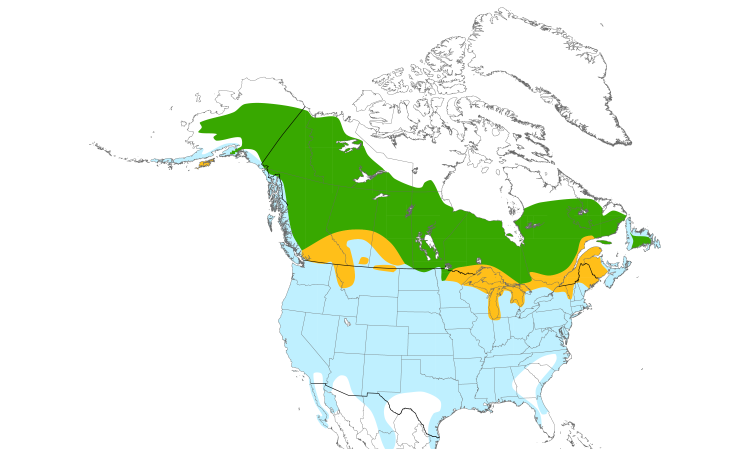 Range Map (North): Common Goldeneye
