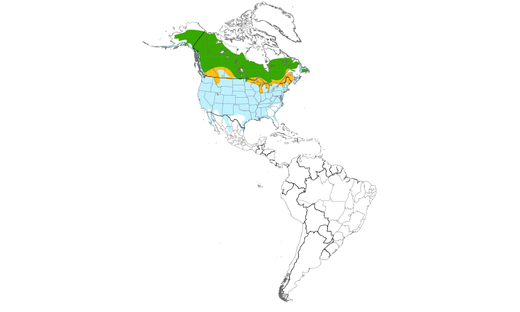 Range Map (Americas): Common Goldeneye