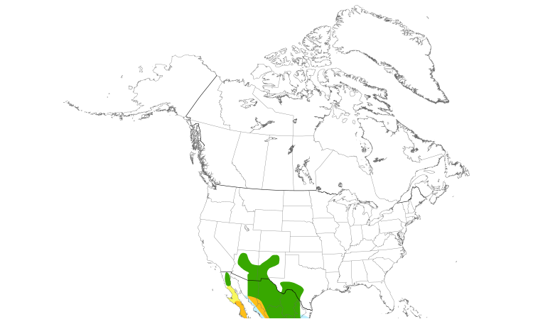 Range Map (North): Zone-tailed Hawk